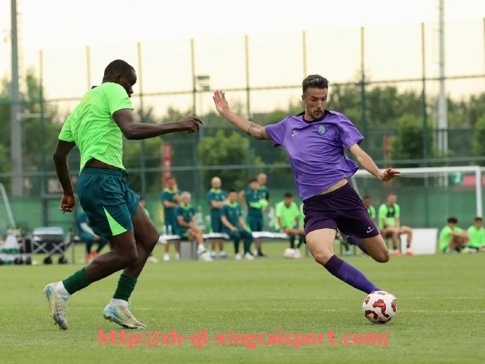 杏彩体育-金元足球前夜:2010中超联赛资本力量初现端倪