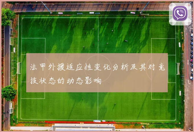 法甲外援适应性变化分析及其对竞技状态的动态影响