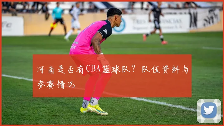 河南是否有CBA篮球队？队伍资料与参赛情况