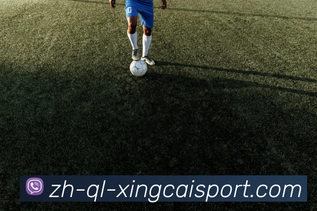 杏彩体育发展历程