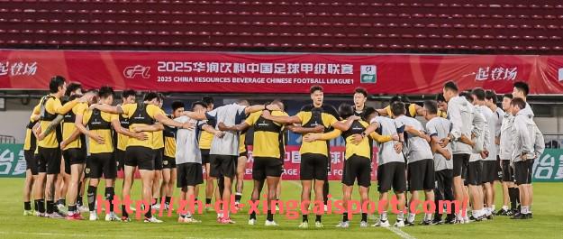 杏彩体育-2018年西甲视频直播精彩瞬间及赛事总结